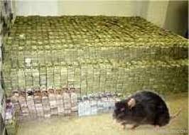 Spiritual Rats / Short Boys  That Brings Money Call: +27722171549
