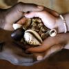 Traditional Healers  Musa in Kempton Park South Africa +27738432586