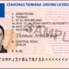 Buy real and fake Passports,WHATSAPP：+33 7 53827675)
