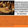 Sangoma And Traditional Healer Lost Love Caster +27685771974